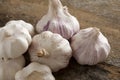 Group of fresh garlic bulbs