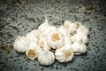 Group Of Fresh Garlic