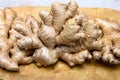 Fresh gember roots used for cooking and medicine Royalty Free Stock Photo