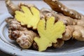 Fresh gember roots used for cooking and medicine Royalty Free Stock Photo