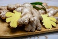 Fresh gember roots used for cooking and medicine Royalty Free Stock Photo