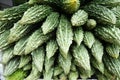 Group of fresh green bitter gourd at at vegetable stall Royalty Free Stock Photo