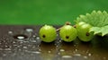 Group of Fresh Green Gooseberry Fruits On Green Background with Copy Space Selective Focus Royalty Free Stock Photo