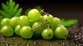 Group of Fresh Green Gooseberry Fruits On Green Background with Copy Space Selective Focus Royalty Free Stock Photo