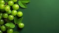 Group of Fresh Green Gooseberry Fruits On Green Background with Copy Space Selective Focus Royalty Free Stock Photo