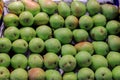 Group of fresh green pears ordered in a box put up for sale at the Boqueria market. Royalty Free Stock Photo