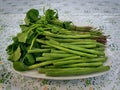 Group of Fresh Green Vegetables on Table Royalty Free Stock Photo