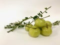 A group of fresh Indian gooseberry with green leave on white background, Phyllanthus emblica