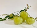 A group of fresh Indian gooseberry with leave isolated on white background, Phyllanthus emblica