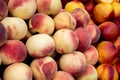 Fresh and juicy  peach fruits on a fruit market Royalty Free Stock Photo