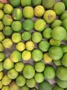 A group of fresh lime isolated on box. Royalty Free Stock Photo