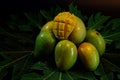 Group of fresh local mango tropical fruits of Thailand on papaya leaf with black background