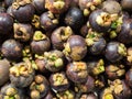 Group of fresh Mangosteen Royalty Free Stock Photo