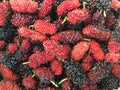 group of fresh mulberry Royalty Free Stock Photo