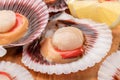 Group of fresh opened scallop with lemon slice close up