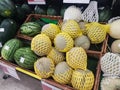 Group of Fresh organic green cantaloupe melons and big ball with Royalty Free Stock Photo