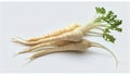 Group of Fresh Parsnip Vegetable on White Background Generative AI