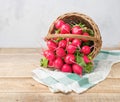 Group of fresh radish in a basket on the table.