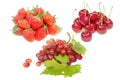 Group of fresh red fruit for healthy nutrition