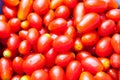 Group of Fresh Red Cherry Tomatoes Royalty Free Stock Photo