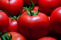 Group of Fresh red tomatoes, closeup Royalty Free Stock Photo