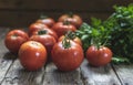 Group of fresh red tomatoes and parsley on wooden table. Selective focus, frontal view