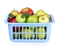 Group of fresh ripe apples in box Royalty Free Stock Photo