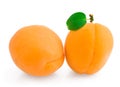 Group fresh ripe apricot Royalty Free Stock Photo