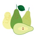 Group of fresh ripe green pears, whole and sliced half green pear fruit, isolated on white. Vector illustration, icon