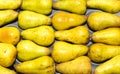 Group of fresh ripe pears Royalty Free Stock Photo