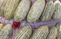 Group of fresh ripe yellow sweet melons. Cantaloupe melons for sale in organic farm Royalty Free Stock Photo