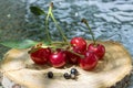 Group of fresh ripened fruit on wooden pad, red sour cherries and black currant Royalty Free Stock Photo