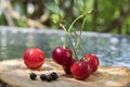 Group of fresh ripened fruit on wooden pad, red sour cherries and black currant Royalty Free Stock Photo