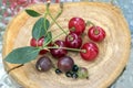 Group of fresh ripened fruit on wooden pad, red sour cherries, dark gooseberry and black currant Royalty Free Stock Photo