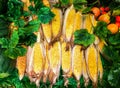 Group of Fresh Sweet Corn on Cobs in The Farm for Sale in The Market used as Template Royalty Free Stock Photo