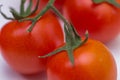 Group of fresh tomatoes. red cherry tomatoes Royalty Free Stock Photo