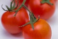 Group of fresh tomatoes. red cherry tomatoes Royalty Free Stock Photo