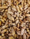 Group of fresh tumeric spice