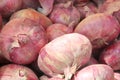 Group of fresh unpeeled red onion bulbs Royalty Free Stock Photo