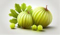 Group of Fresh Whole Green Gooseberries Fruit on White Background AI Generative Royalty Free Stock Photo