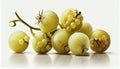 Group of Fresh Whole Green Gooseberries Fruit on White Background AI Generative Royalty Free Stock Photo