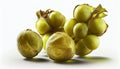 Group of Fresh Whole Green Gooseberries Fruit on White Background AI Generative