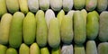Group of fresh winter melon at supermarket or freshness market. Vegetable Royalty Free Stock Photo