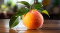 Group of Fresh Yellow Apricat Fruit with Water Drops on Wooden Table Top Defocused Background