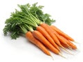 Bunch of carrots, isolated, on white background. Generative AI