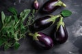 Group of freshly picked aubergines eggplants for cooking on dark background, top view, flat lay. Generative AI Royalty Free Stock Photo