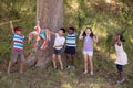 Group of friends cheering for blindfolded boy hitting pinata hanging on tree