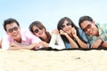 Group Of Friends Enjoying Beach Holiday Royalty Free Stock Photo