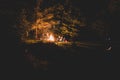 Group of friends having a backyard campfire surrounded with trees Royalty Free Stock Photo