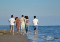 Group of friends having fun walking down the beach at sunset Royalty Free Stock Photo